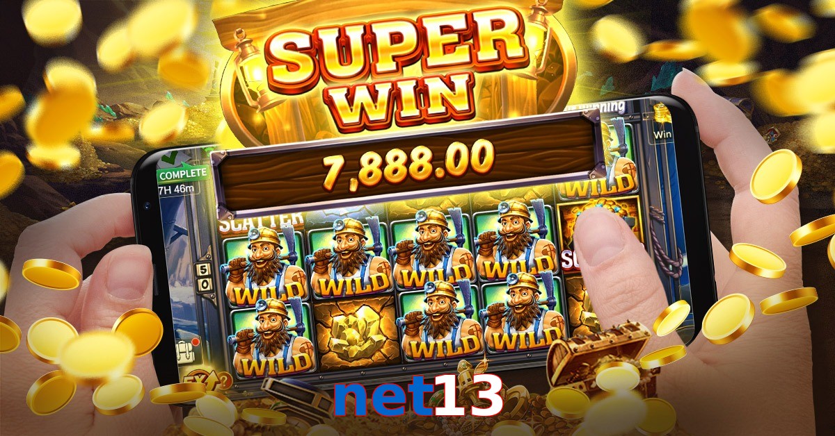 net13