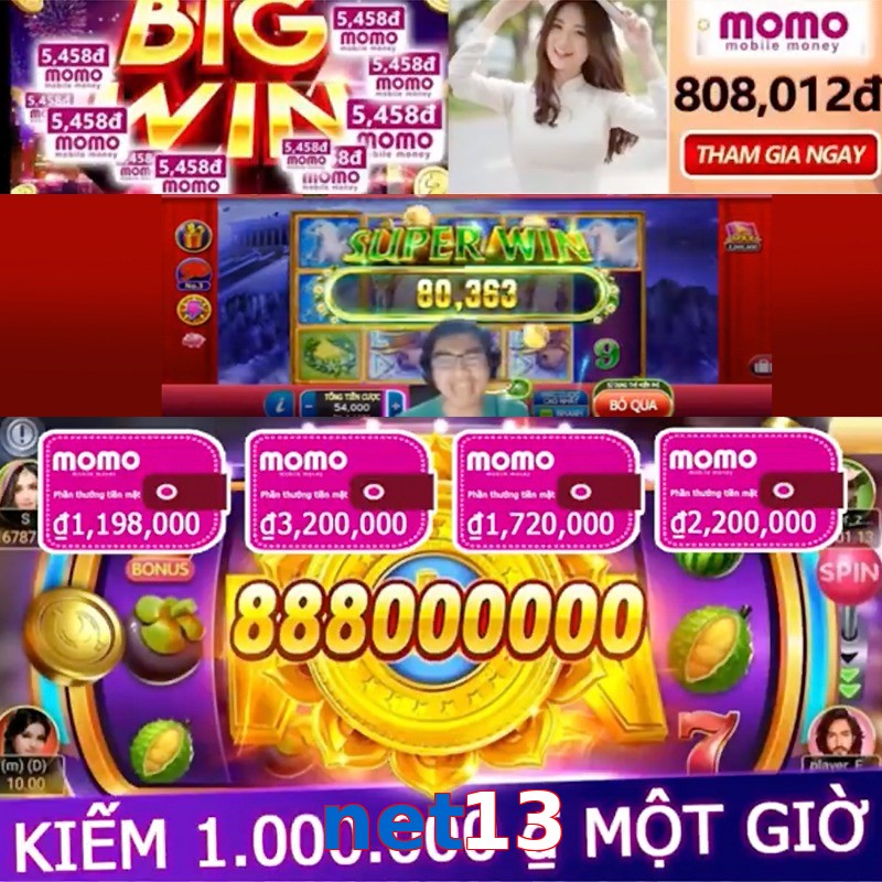 net13