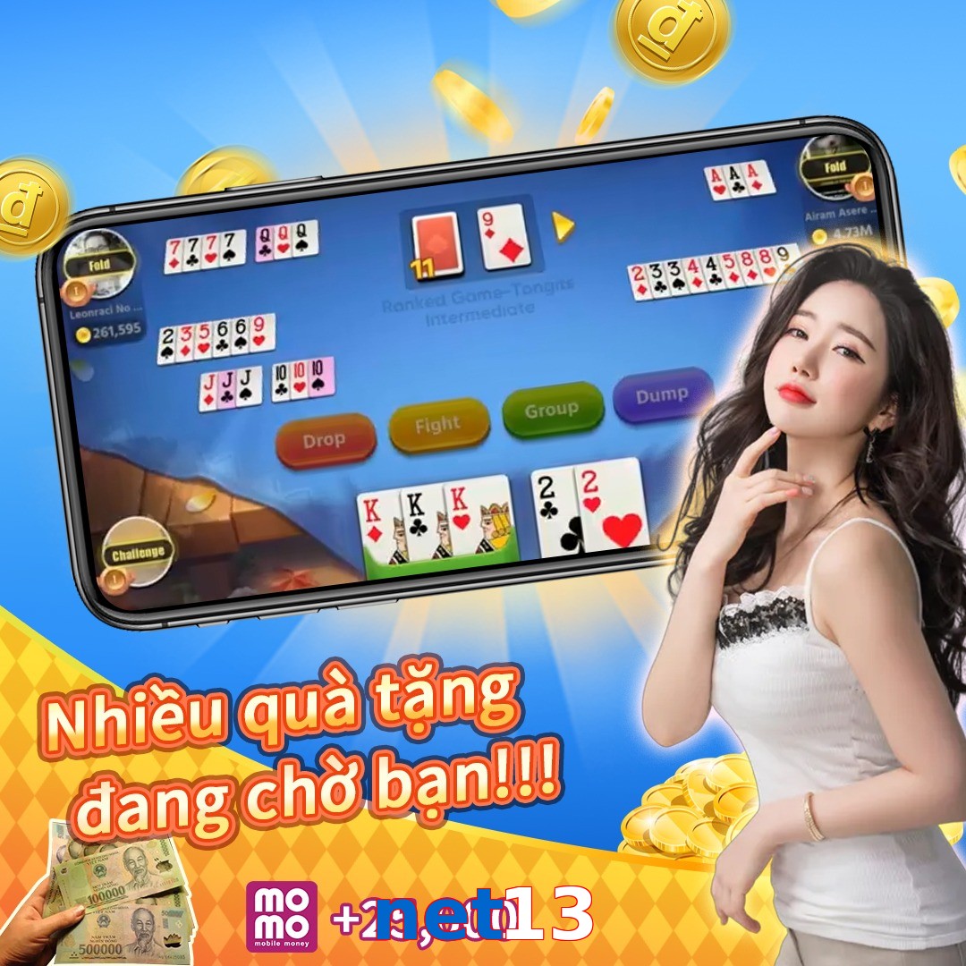 net13
