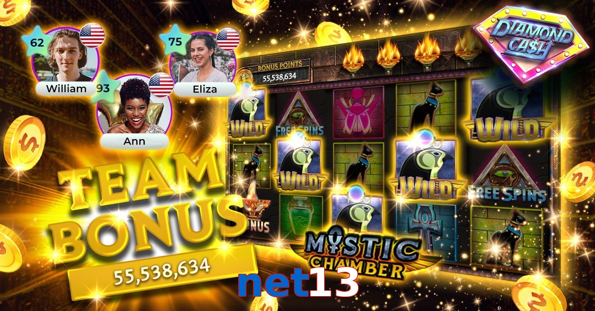 net13
