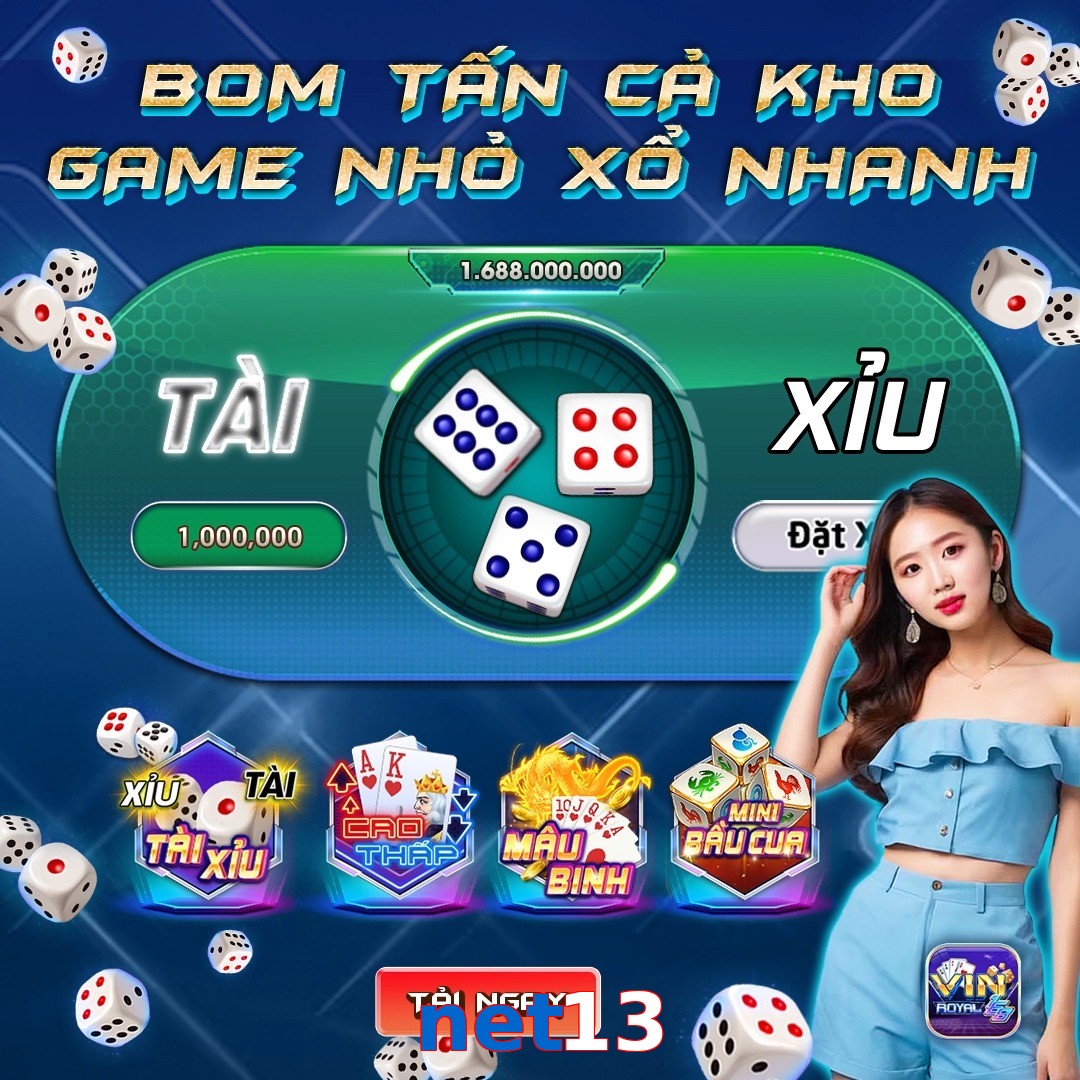 net13