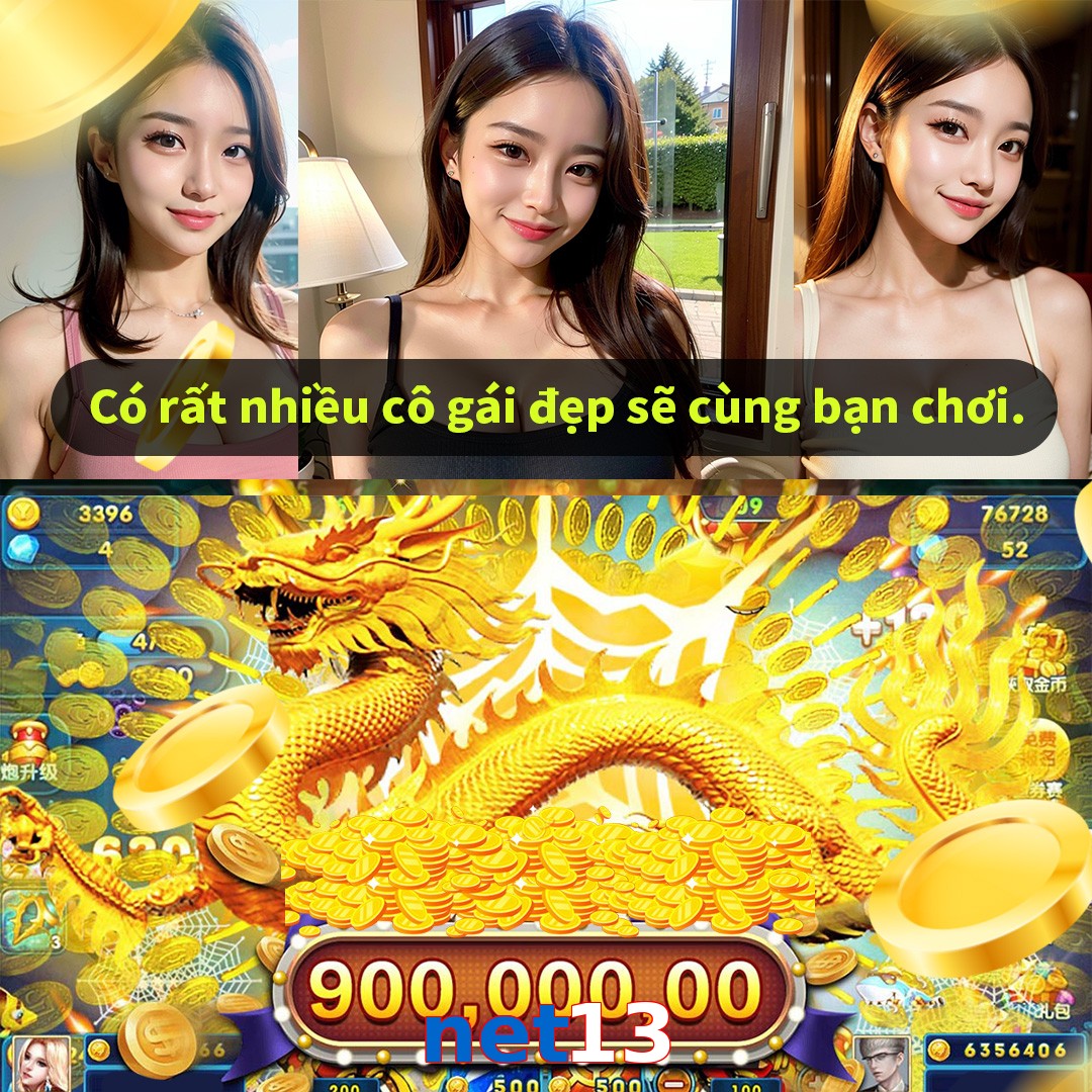 net13