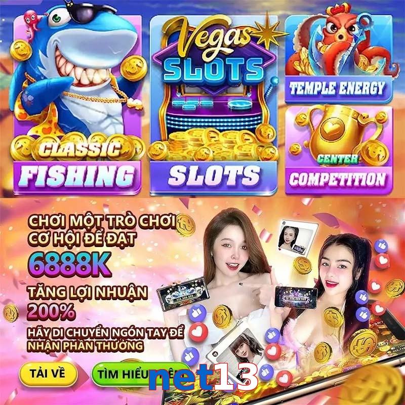net13