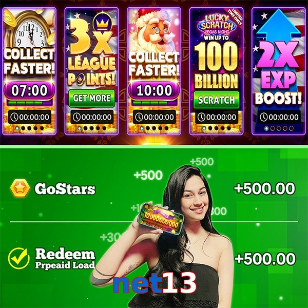 net13