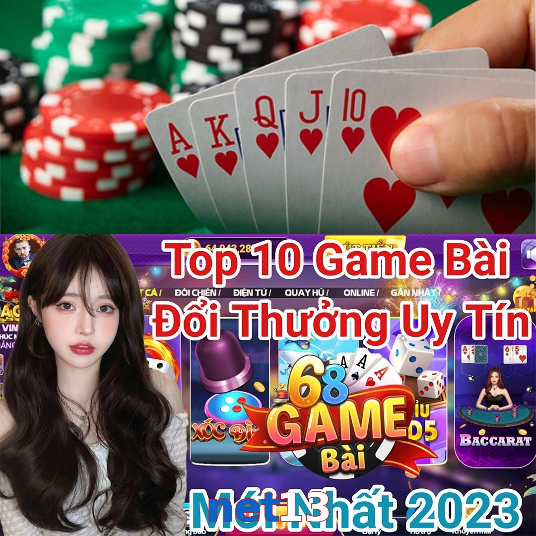net13