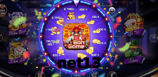 net13