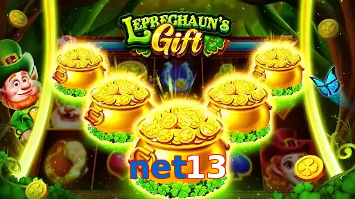net13
