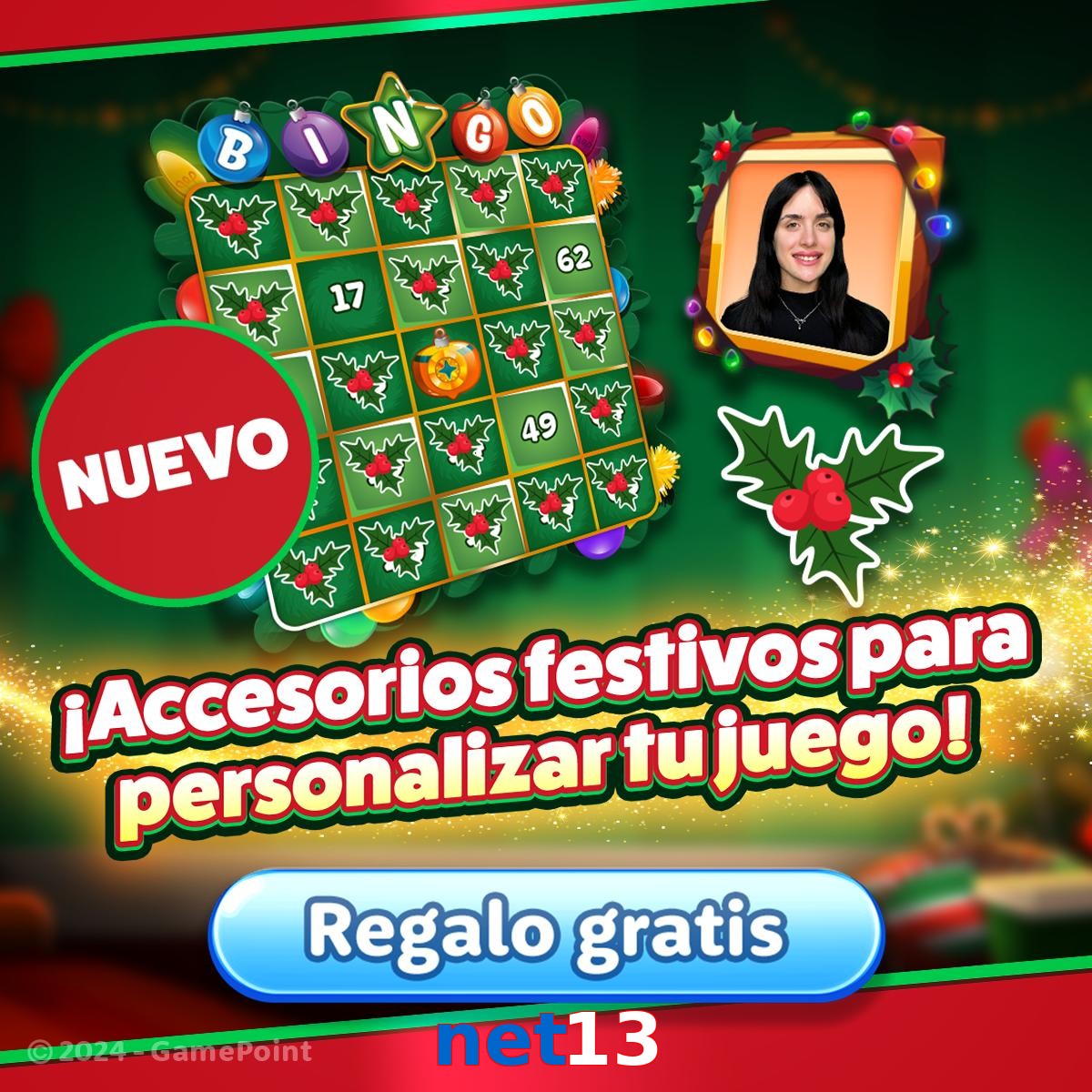 net13