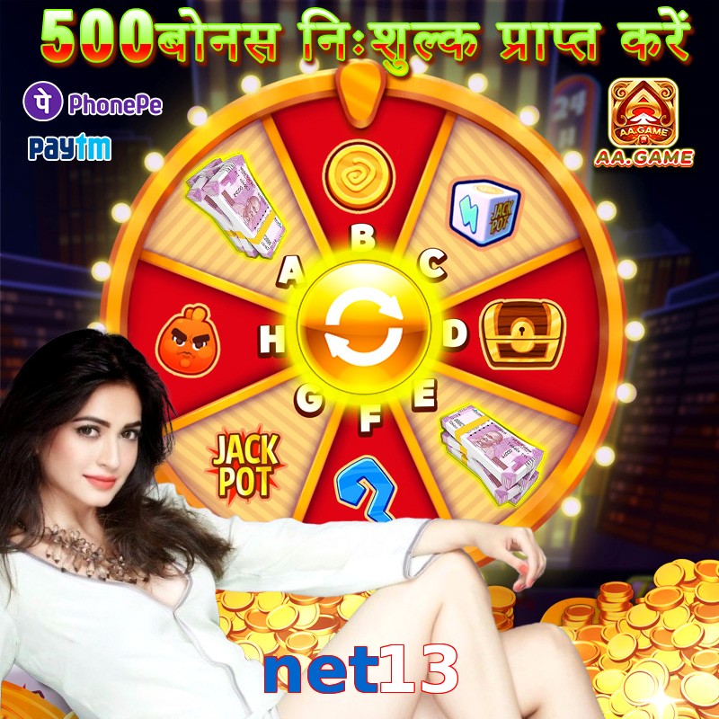 net13