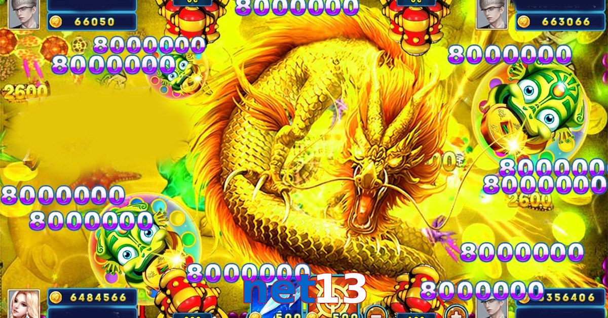 net13