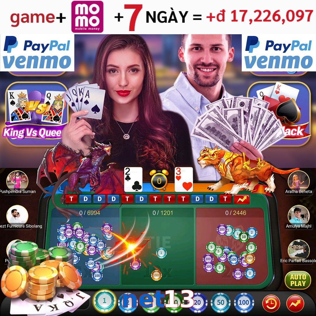 net13
