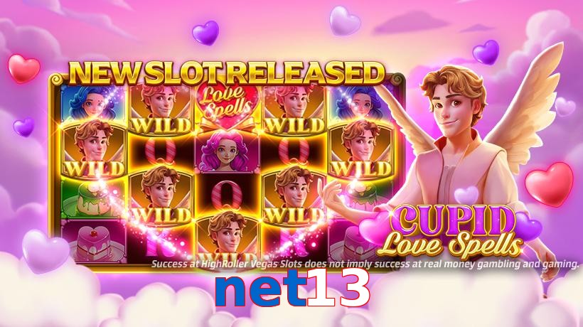 net13