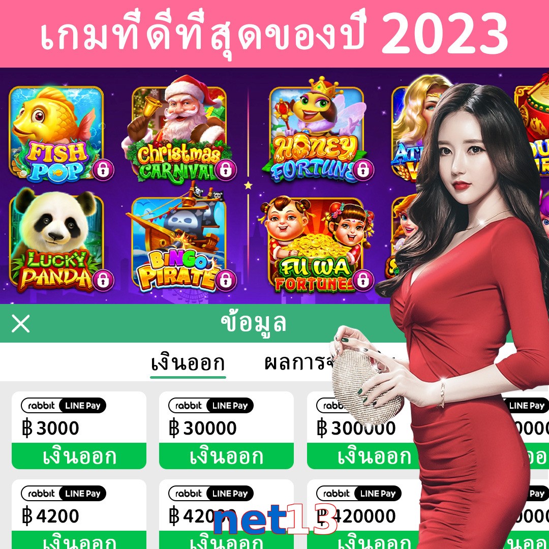 net13