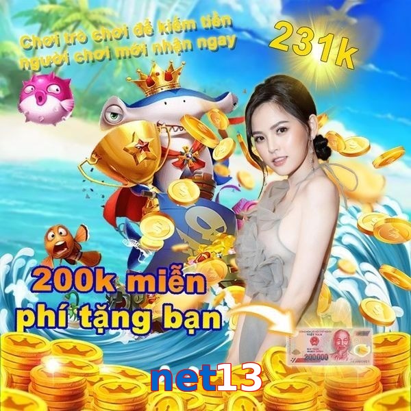 net13