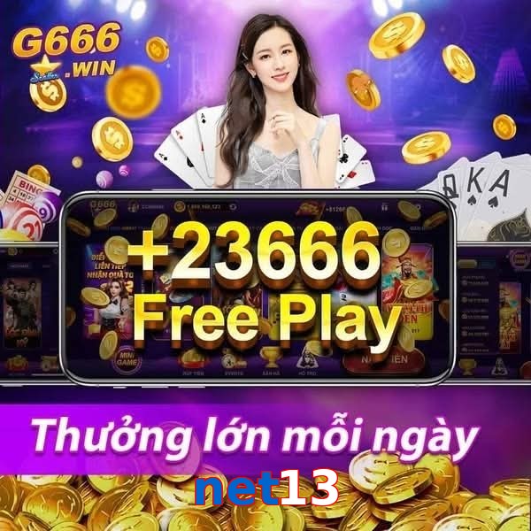 net13