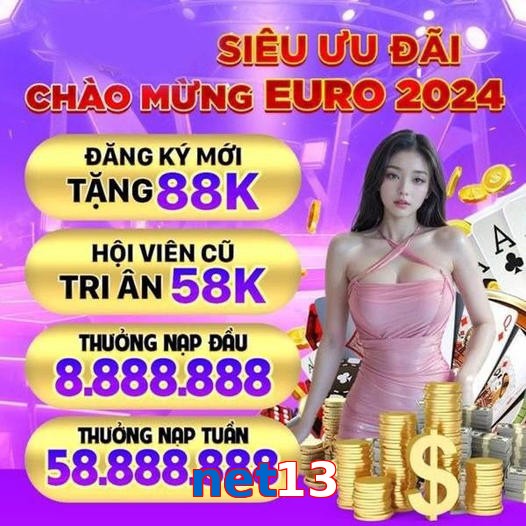 net13