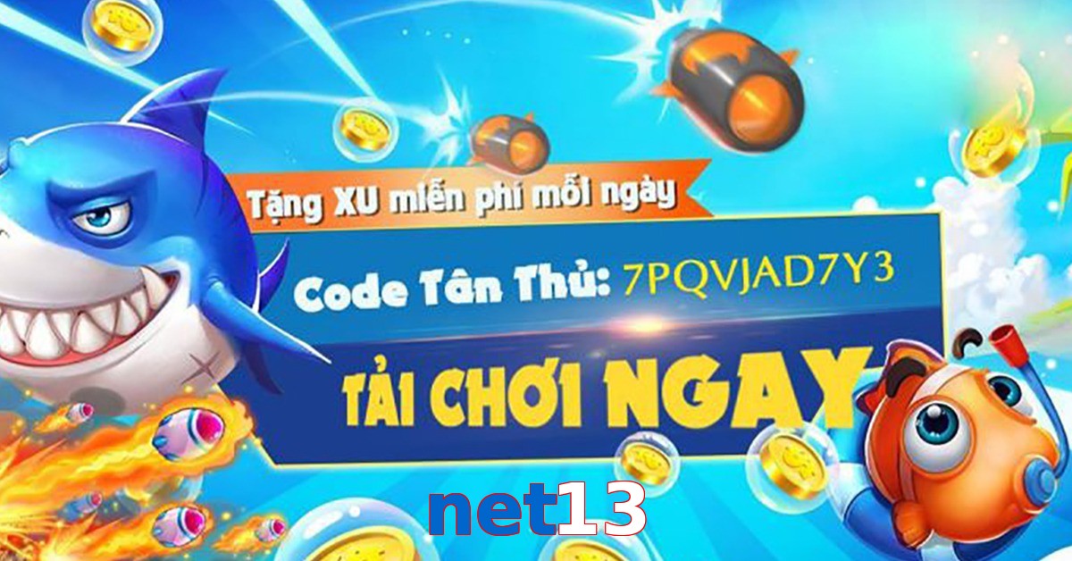 net13