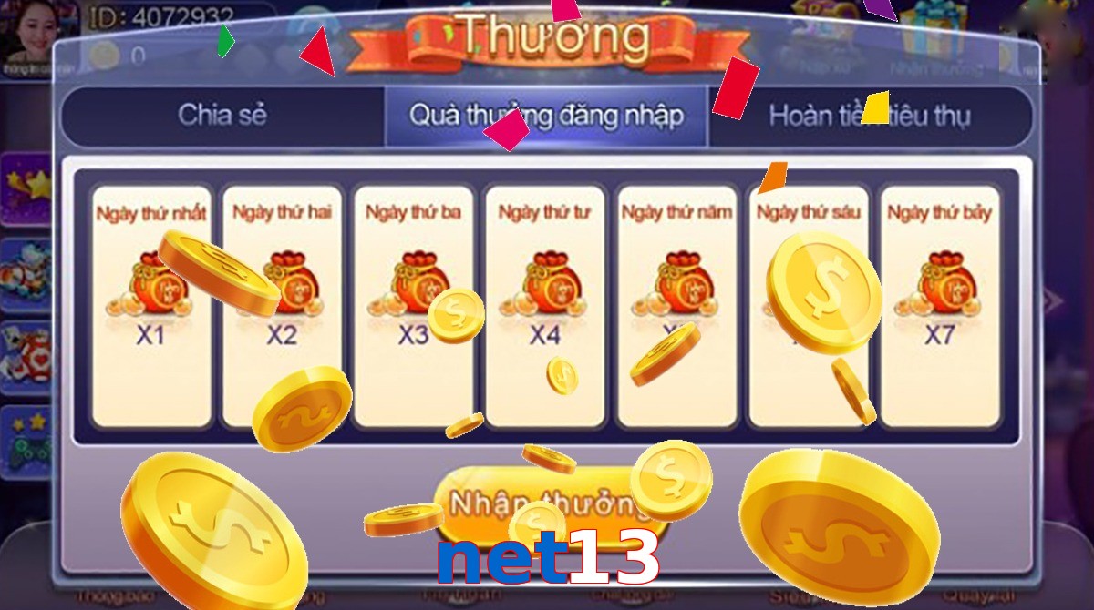 net13
