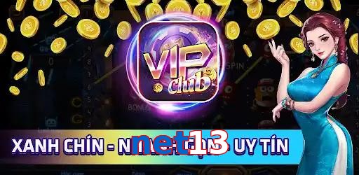 net13