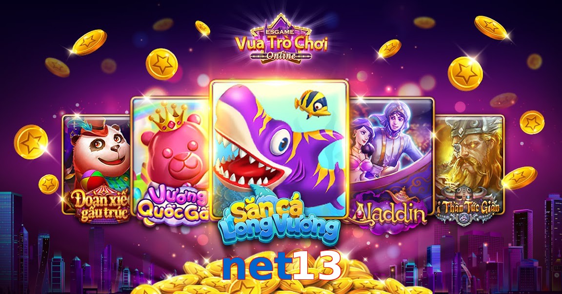 net13