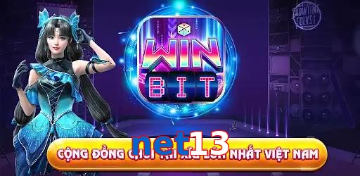 net13