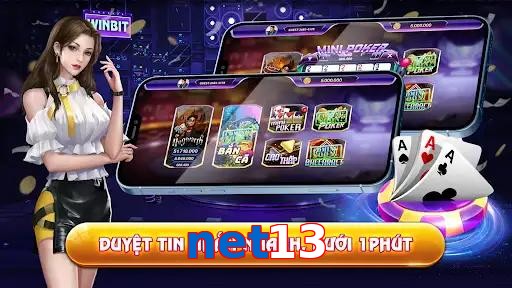 net13