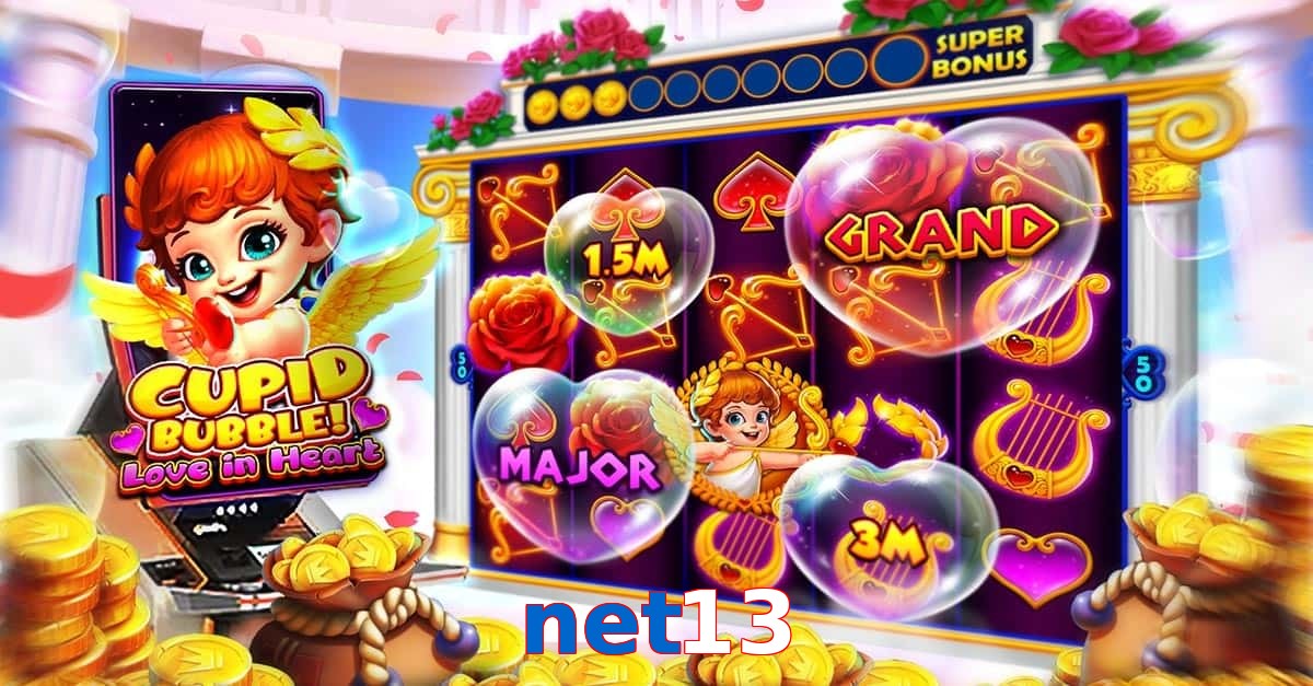 net13
