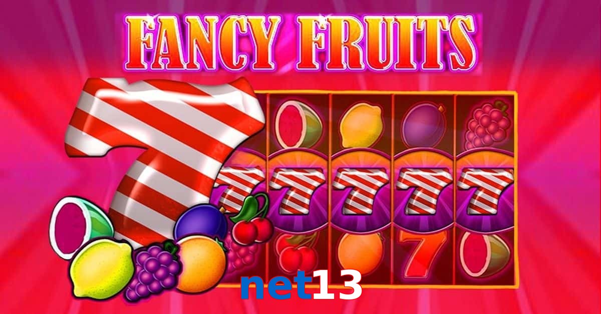net13