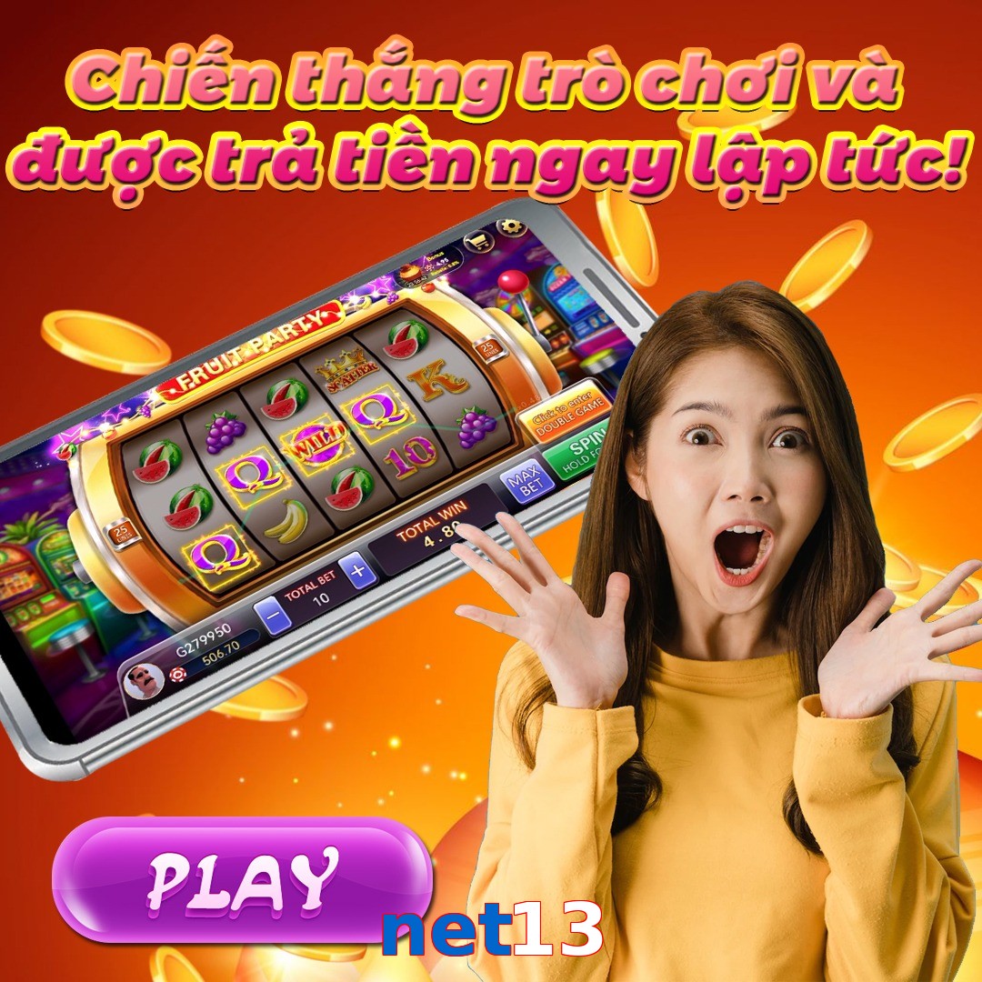 net13