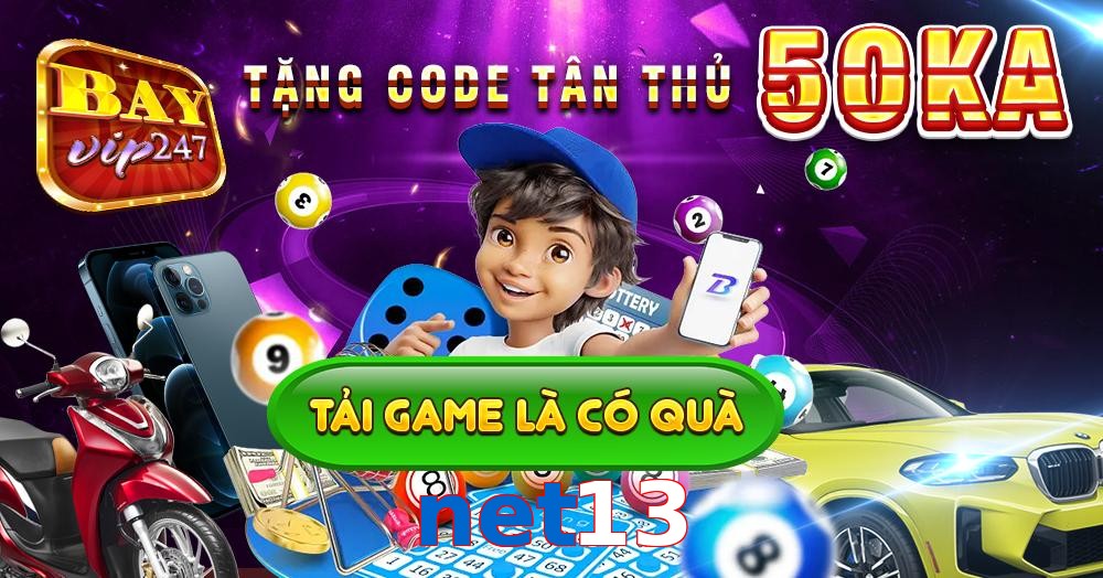 net13