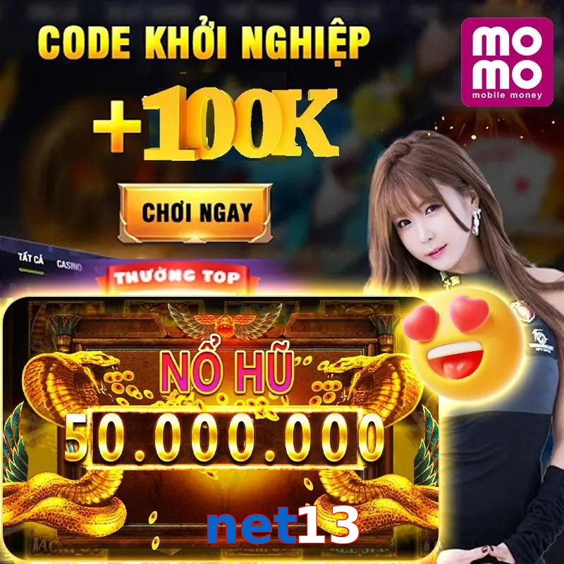 net13