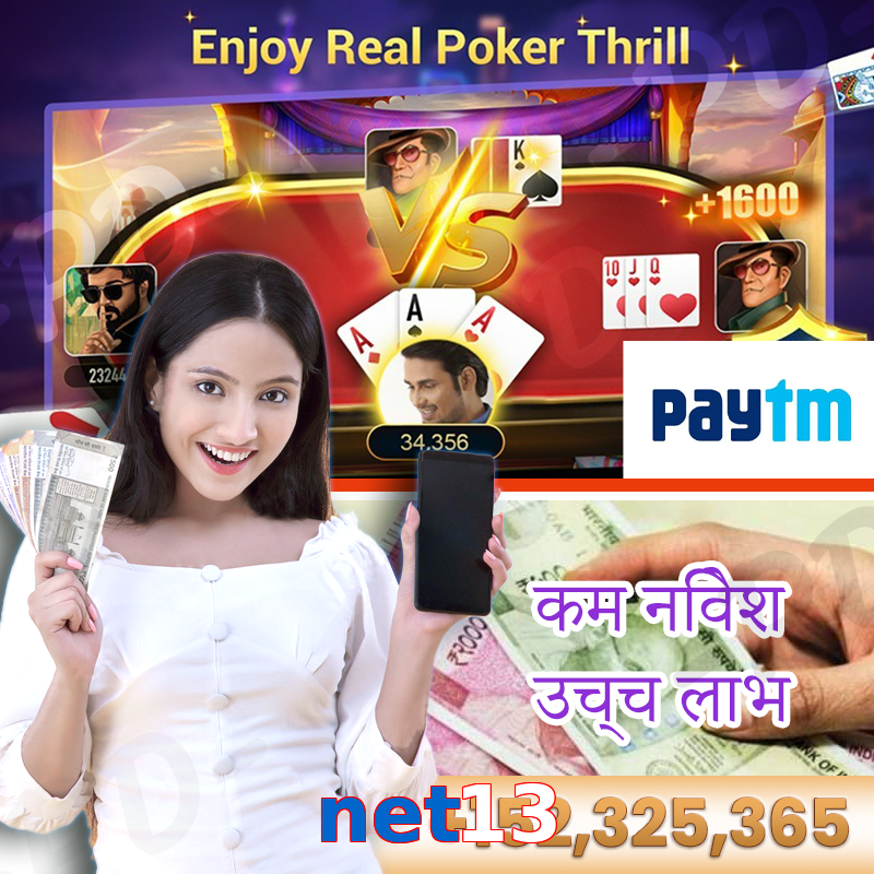 net13