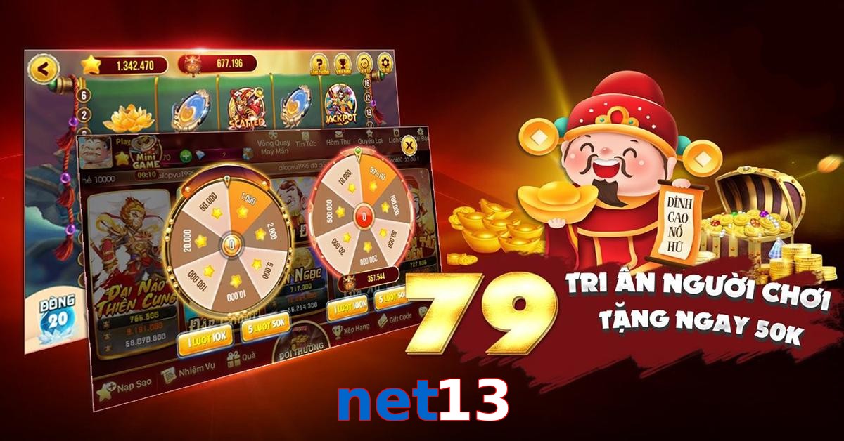 net13
