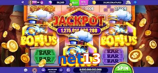 net13