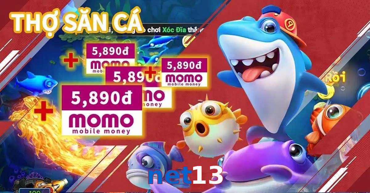 net13