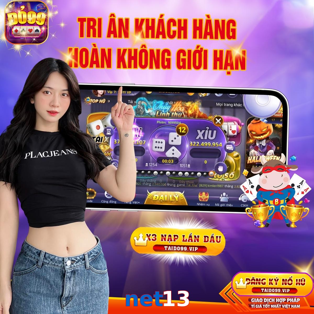 net13