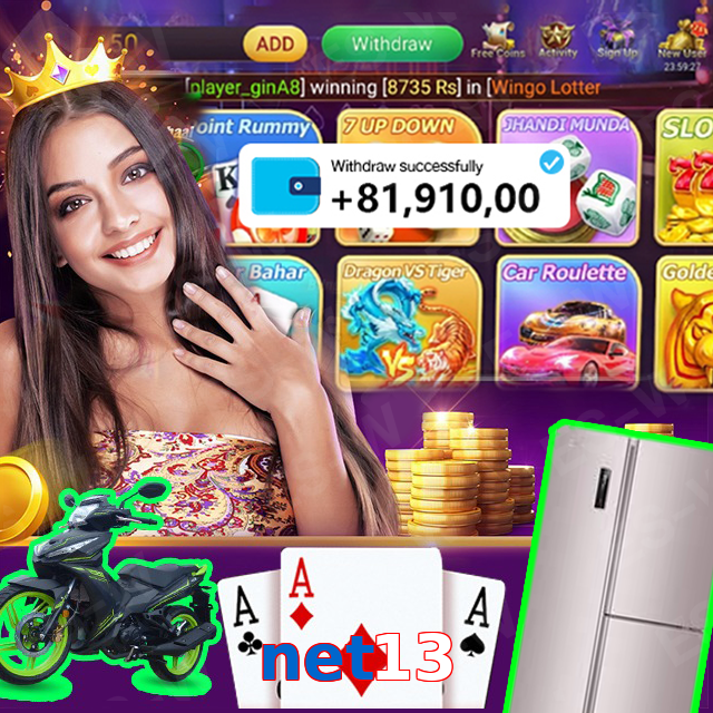 net13