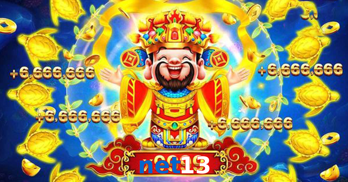net13