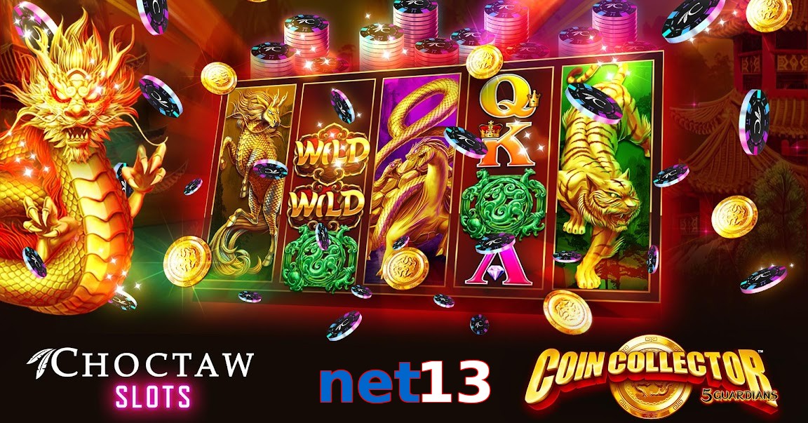net13