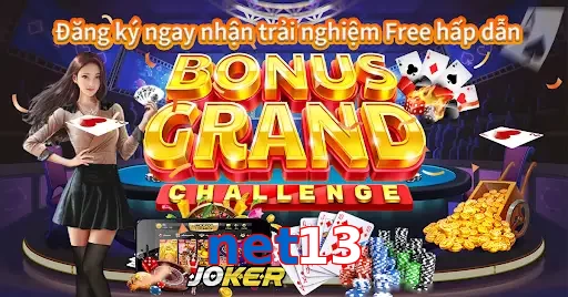 net13