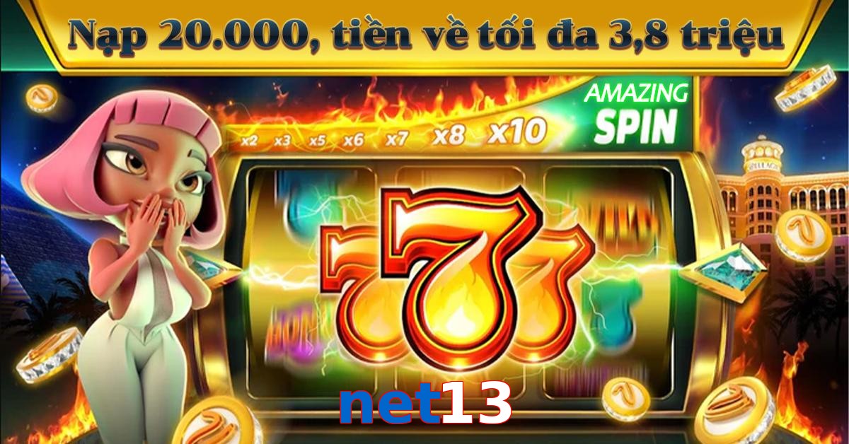 net13