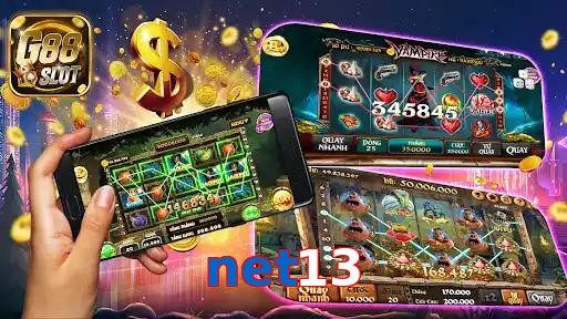 net13