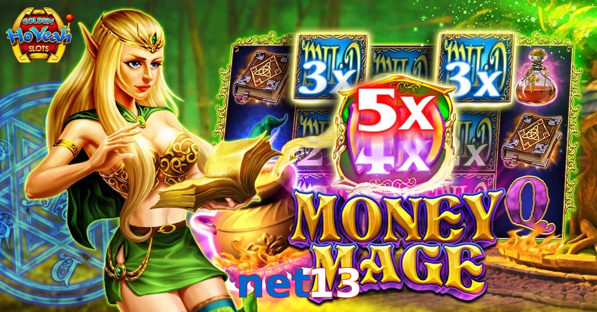 net13