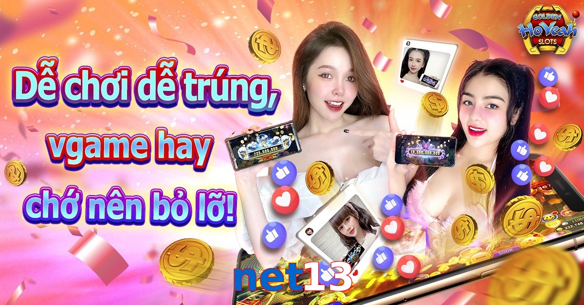 net13
