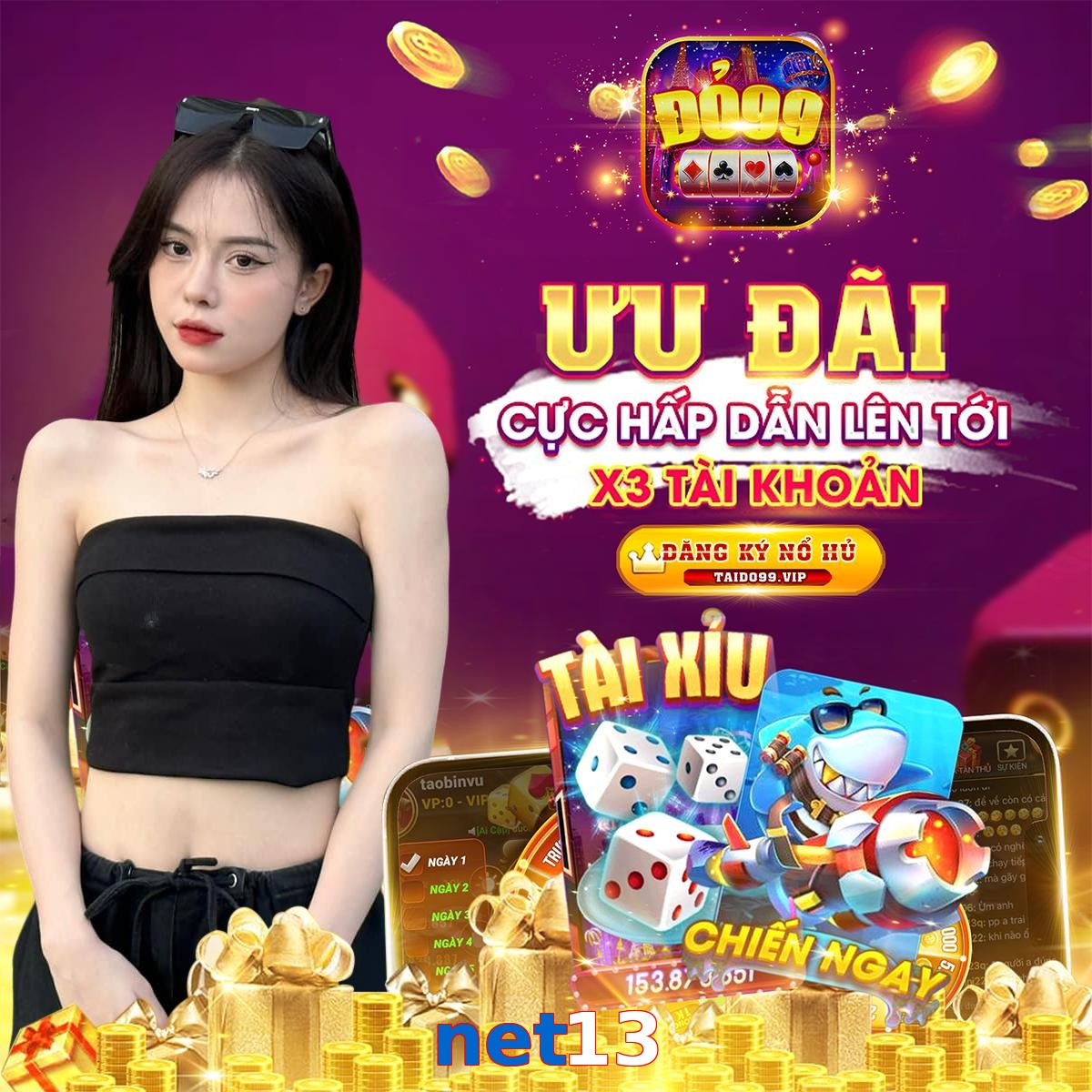 net13