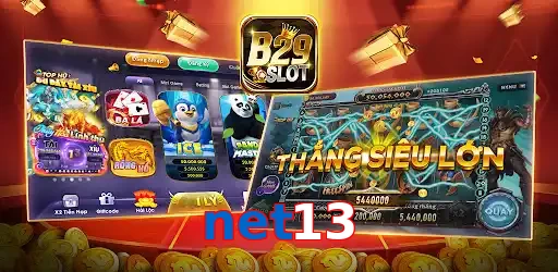 net13