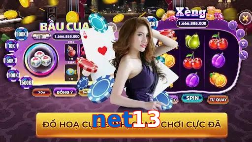 net13