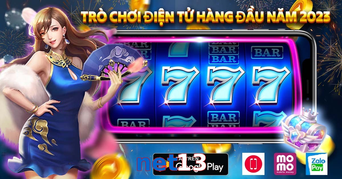 net13