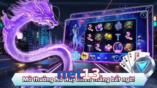 net13
