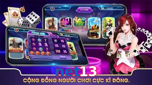 net13